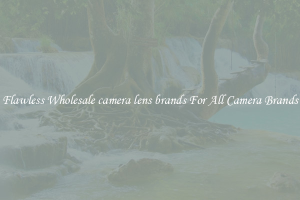 Flawless Wholesale camera lens brands For All Camera Brands