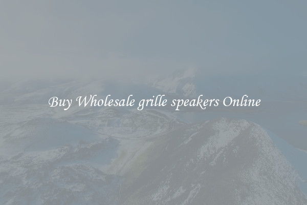 Buy Wholesale grille speakers Online