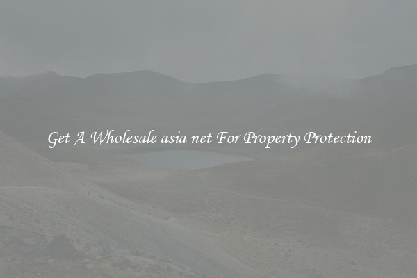 Get A Wholesale asia net For Property Protection