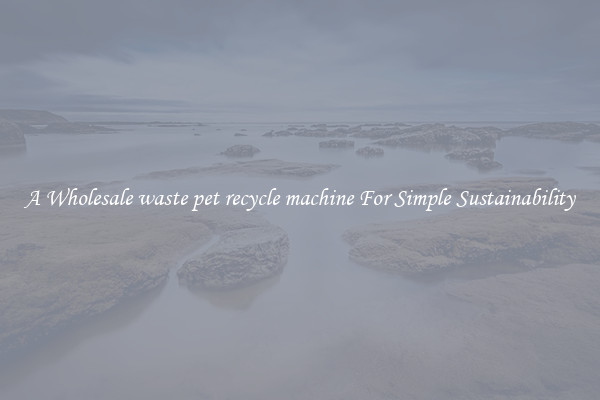 A Wholesale waste pet recycle machine For Simple Sustainability 
