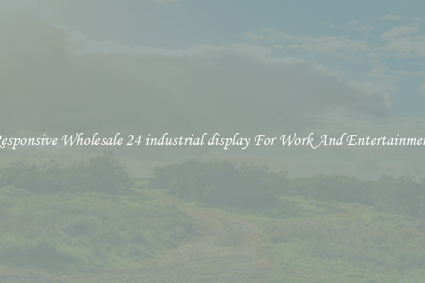 Responsive Wholesale 24 industrial display For Work And Entertainment
