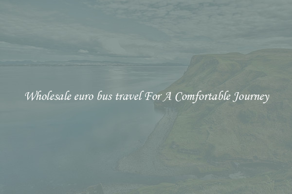 Wholesale euro bus travel For A Comfortable Journey