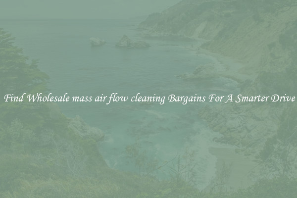 Find Wholesale mass air flow cleaning Bargains For A Smarter Drive