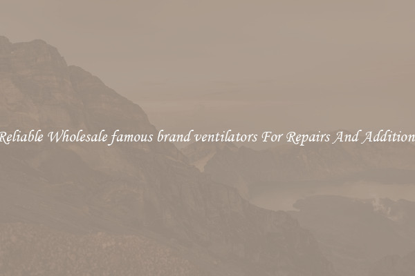 Reliable Wholesale famous brand ventilators For Repairs And Additions