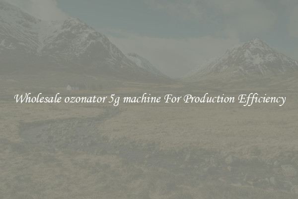 Wholesale ozonator 5g machine For Production Efficiency