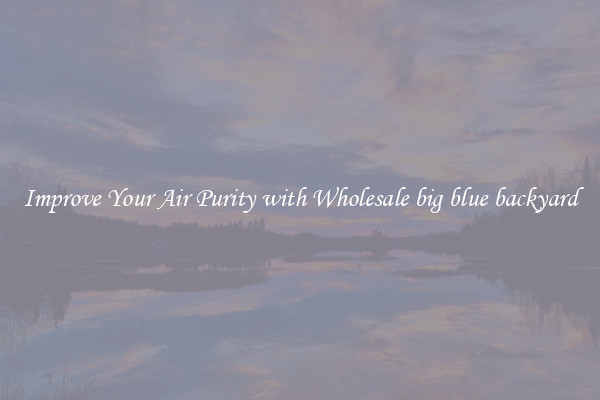 Improve Your Air Purity with Wholesale big blue backyard