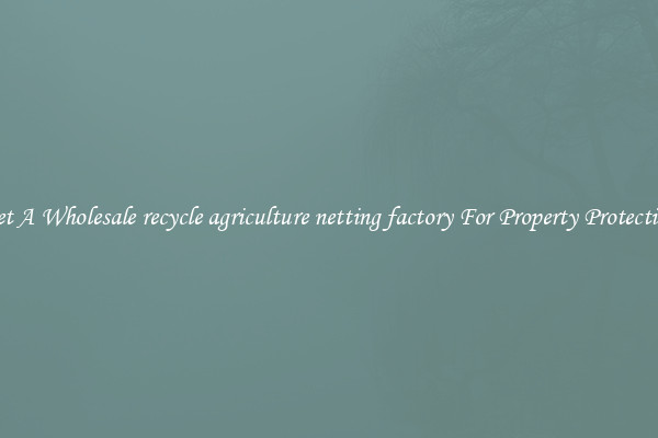Get A Wholesale recycle agriculture netting factory For Property Protection