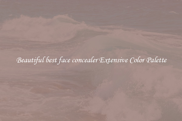 Beautiful best face concealer Extensive Color Palette