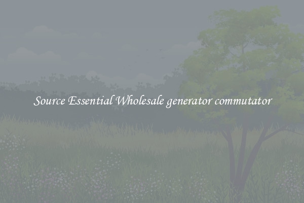 Source Essential Wholesale generator commutator