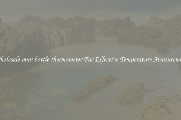Wholesale mini bottle thermometer For Effective Temperature Measurement