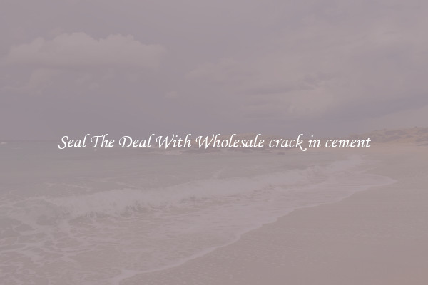 Seal The Deal With Wholesale crack in cement