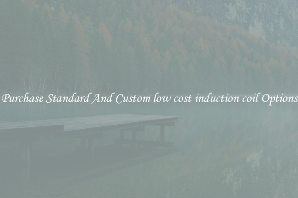 Purchase Standard And Custom low cost induction coil Options