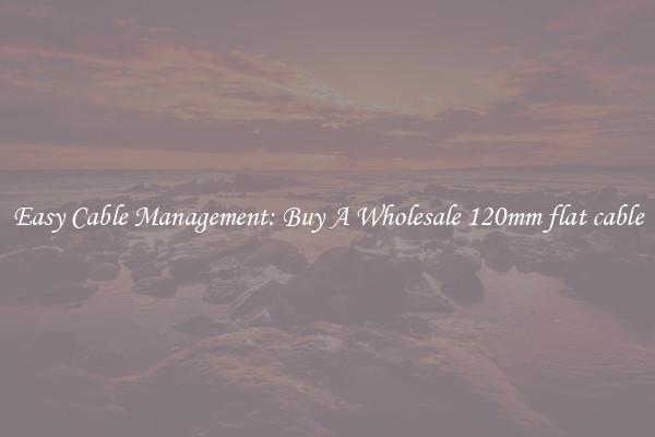 Easy Cable Management: Buy A Wholesale 120mm flat cable