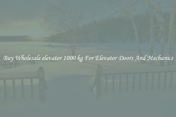 Buy Wholesale elevator 1000 kg For Elevator Doors And Mechanics