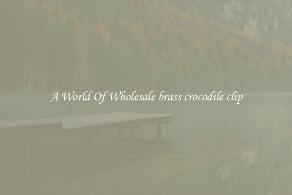 A World Of Wholesale brass crocodile clip